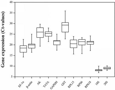 Selection and Validation of Reference Genes For qRT-PCR Analysis of Rhopalosiphum padi (Hemiptera: Aphididae)